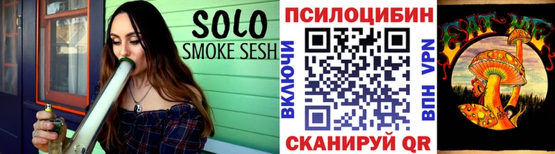 Галлюциногенные грибы Psilocybine cubensis  что такое   Владимир 